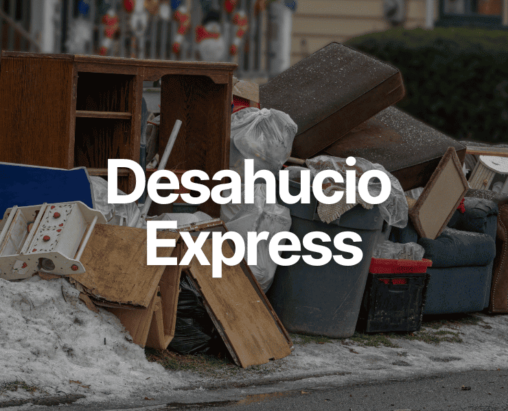 Desahucio Express en España